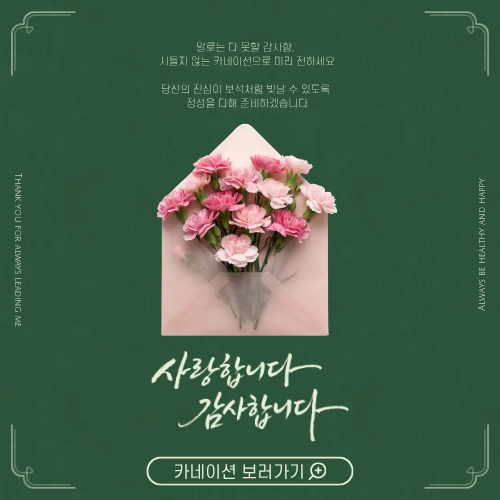 카네이션